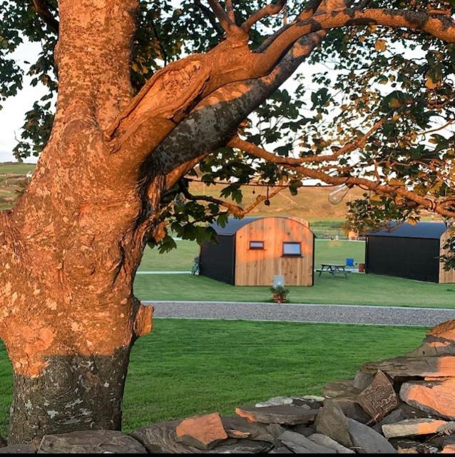 Castledarcy Glamping Lejlighed Lahinch Eksteriør billede